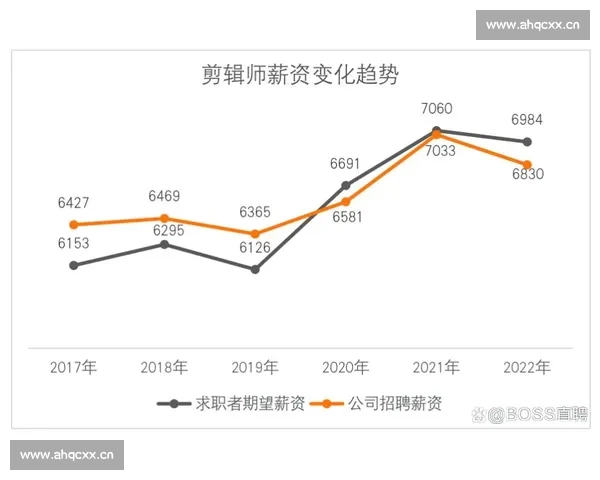 深度解析后期剪辑师工资高不高与未来行业发展趋势全景洞察报告